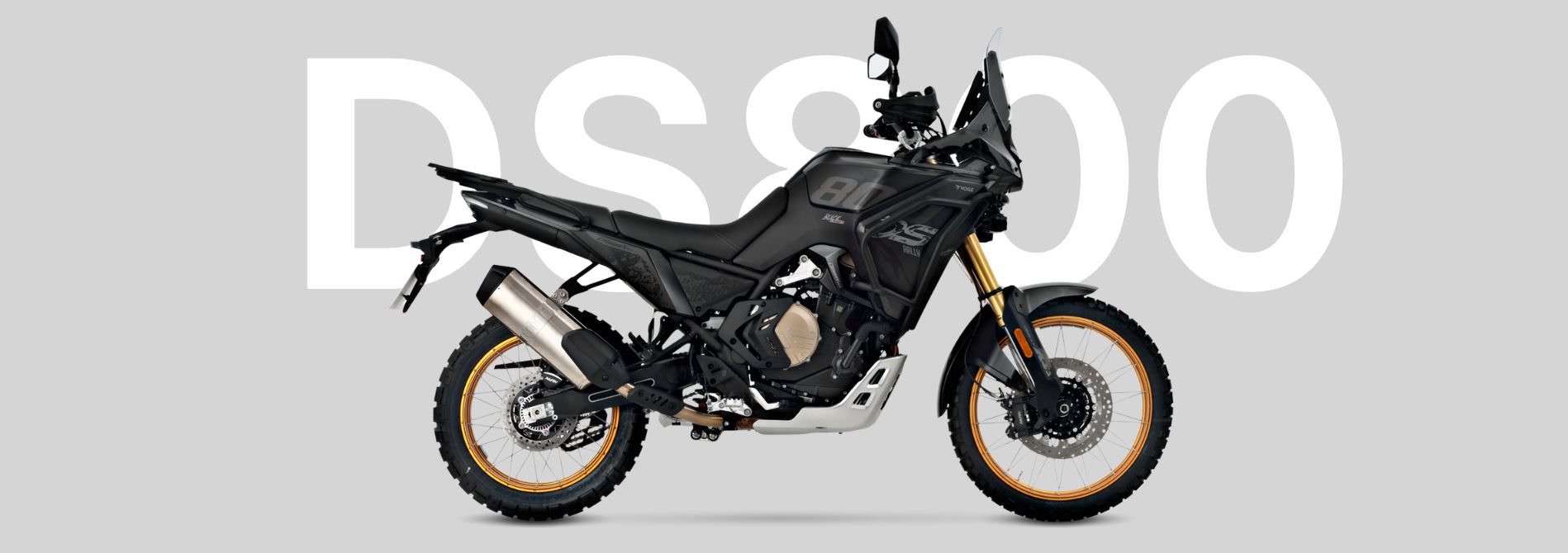 DS800 Rally